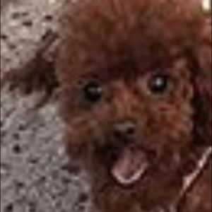 Meet your Posher, Luke